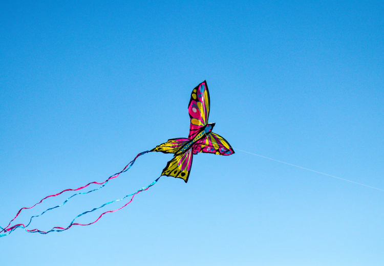 Interviu cu Mihaela Mîndreci – despre cartea „Călătoria pentru copii” de Brandon Bays