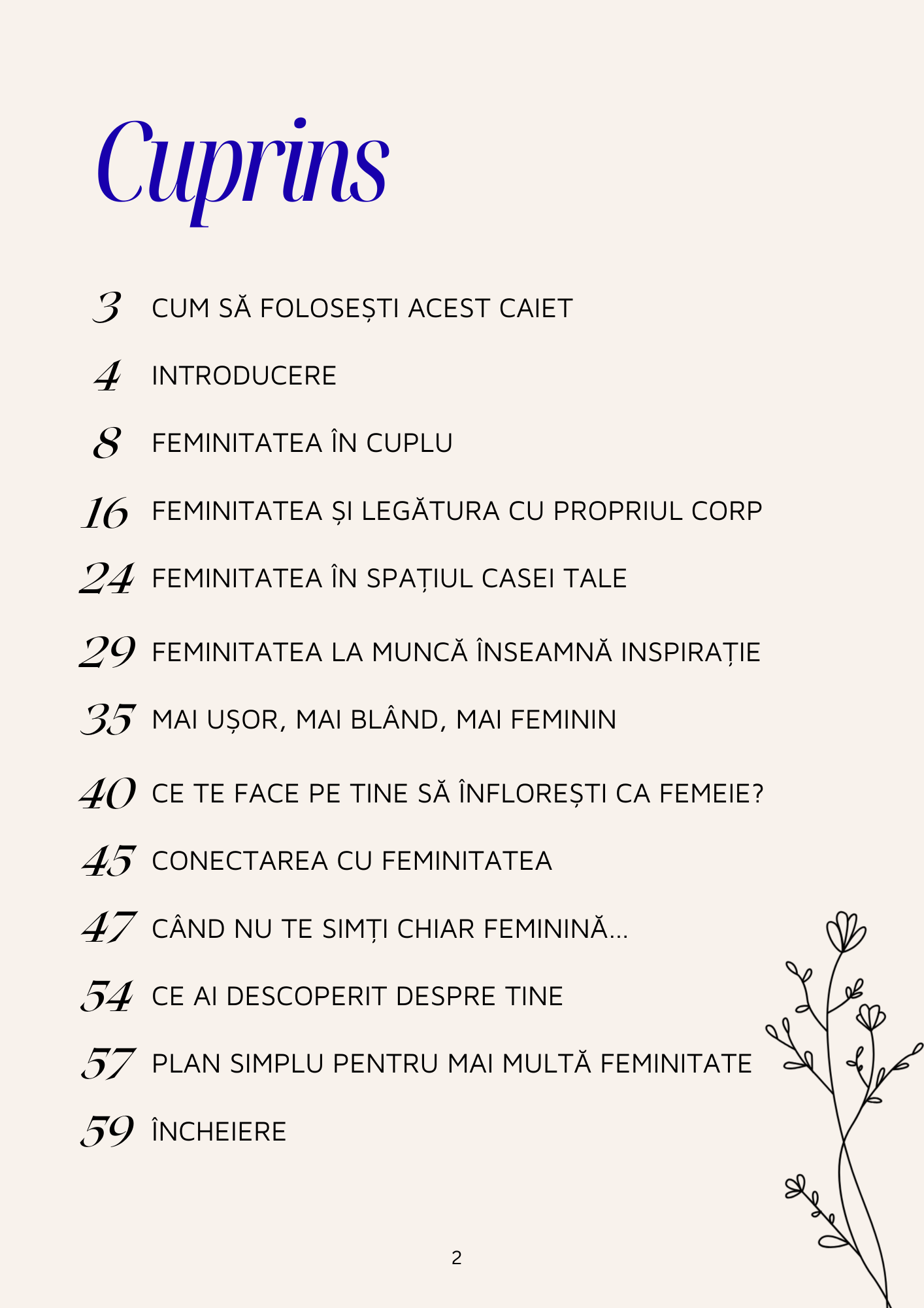 Ebook Caiet de lucru – Feminitatea de Gabriela Bădăluță - imagine 2